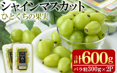 ＜先行予約受付中！2026年8月上旬以降順次発送予定＞ひとくちの果実 シャインマスカット(計600g・300g×2パック)国産 ぶどう 葡萄 フルーツ 果物 くだもの 果実【100702300】【宮田ファミリーぶどう園】