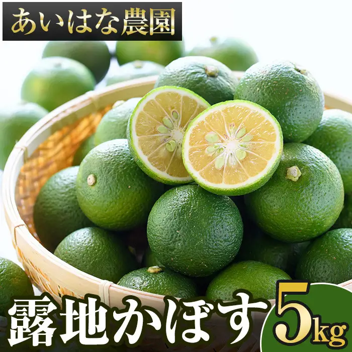 ＜先行予約受付中！2026年8月上旬以降順次発送予定＞露地カボス(約5kg)かぼす カボス 柑橘 特産品 大分県産【107100403】【あいはな農園】