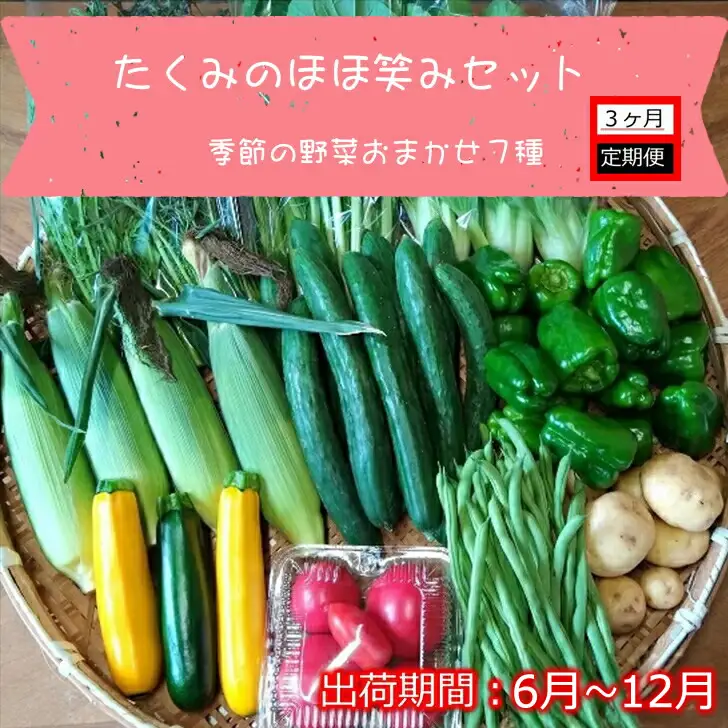 【3ヶ月定期便】旬の野菜7種詰め合わせ『たくみのほほ笑みセット』（2026年6～12月出荷／北海道・九州・沖縄県・離島は配送不可） 旬彩 長野県 信州 おまかせ 高原  産地直送 季節 詰合せ 有機 栽培