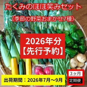 【3ヶ月定期便】旬の野菜7種『たくみのほほ笑みセット』（2026年7～9月出荷／北海道・九州・沖縄県・離島は配送不可） 旬彩 長野県 信州 おまかせ 高原  産地直送 季節 詰合せ 有機 栽培 先行予約