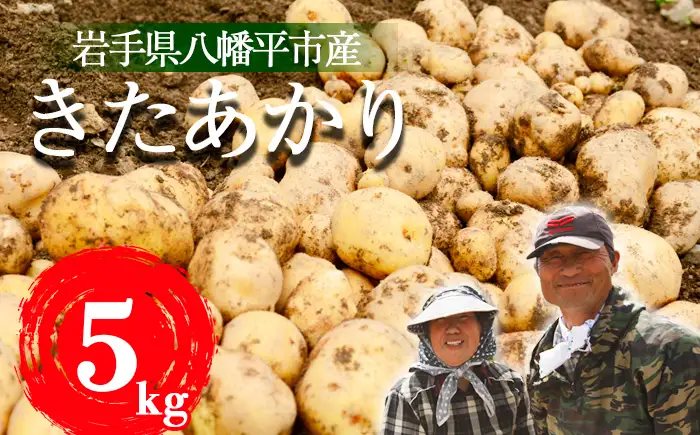 ＜2026年8月中旬発送開始予定＞ 岩手県産 じゃがいも きたあかり 5kg 【松浦農園】／ ジャガイモ じゃが芋 キタアカリ 芋 いも お芋 おいも 馬鈴薯 ばれいしょ ポテト 農家直送 産地直送 野菜 お野菜 八幡平市産 期間限定 数量限定 季節限定 美味しい おいしい おすすめ オススメ