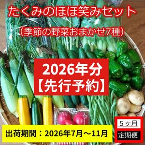 【5ヶ月定期便】旬の野菜7種『たくみのほほ笑みセット』（2026年7～11月出荷／北海道・九州・沖縄県・離島は配送不可） 旬彩 長野県 信州 おまかせ 高原  産地直送 季節 詰合せ 有機 栽培 先行予約