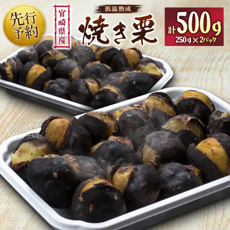 ＜2026出荷!!＞宮崎県産 低温熟成栗［焼き栗］計500g（250g×2パック）おやつ 秋の味覚 お取り寄せ【B617-26】
