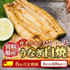 ＜6か月定期便＞【玄人の一品】うなぎ白焼き 2尾 計400g以上【F133】