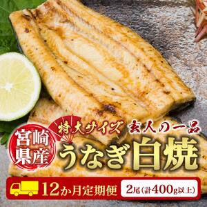 ＜12か月定期便＞【玄人の一品】うなぎ白焼き 2尾 計400g以上【G37】
