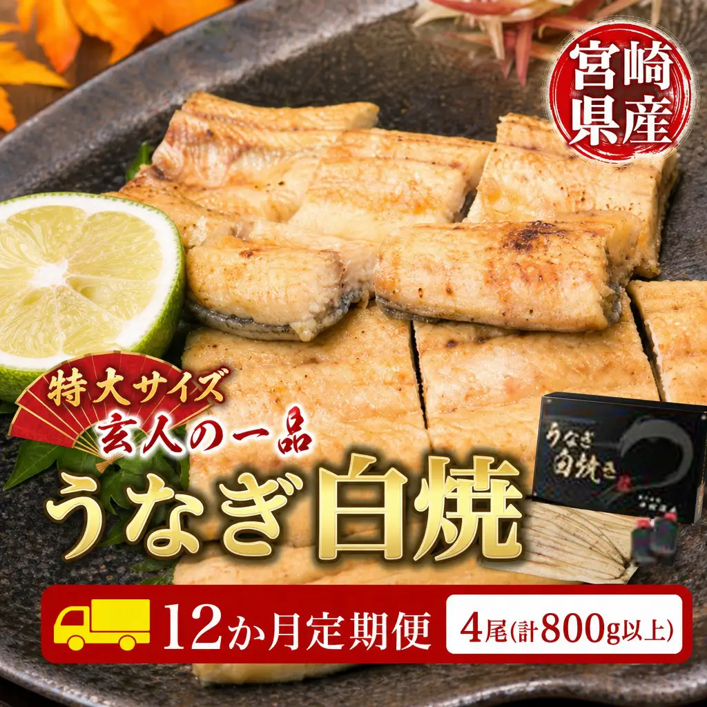 ＜12か月定期便＞【玄人の一品】うなぎ白焼き 4尾 計800g以上【G39】