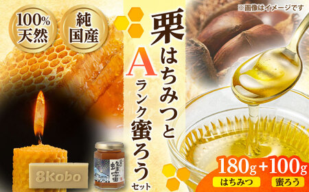 恵那蜂蜜・蜜蝋セット (栗蜂蜜180g×1本、Aランク蜜蝋100g×1枚) / 恵那市 / はち工房こうけつ [AUDF025]