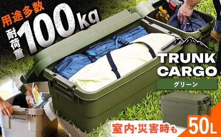 トランクカーゴ Mサイズ 1個  グリーン /  恵那市 / 東谷 [AUAD031] アウトドア