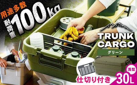 トランクカーゴ 専用仕切り板セット ロウタイプ M1個  グリーン /  恵那市 / 東谷 [AUAD037]