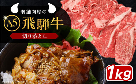 飛騨牛 切り落とし肉 A5ランク 500g×2パック (1kg) / 恵那市 / 岩島屋 [AUAJ015]