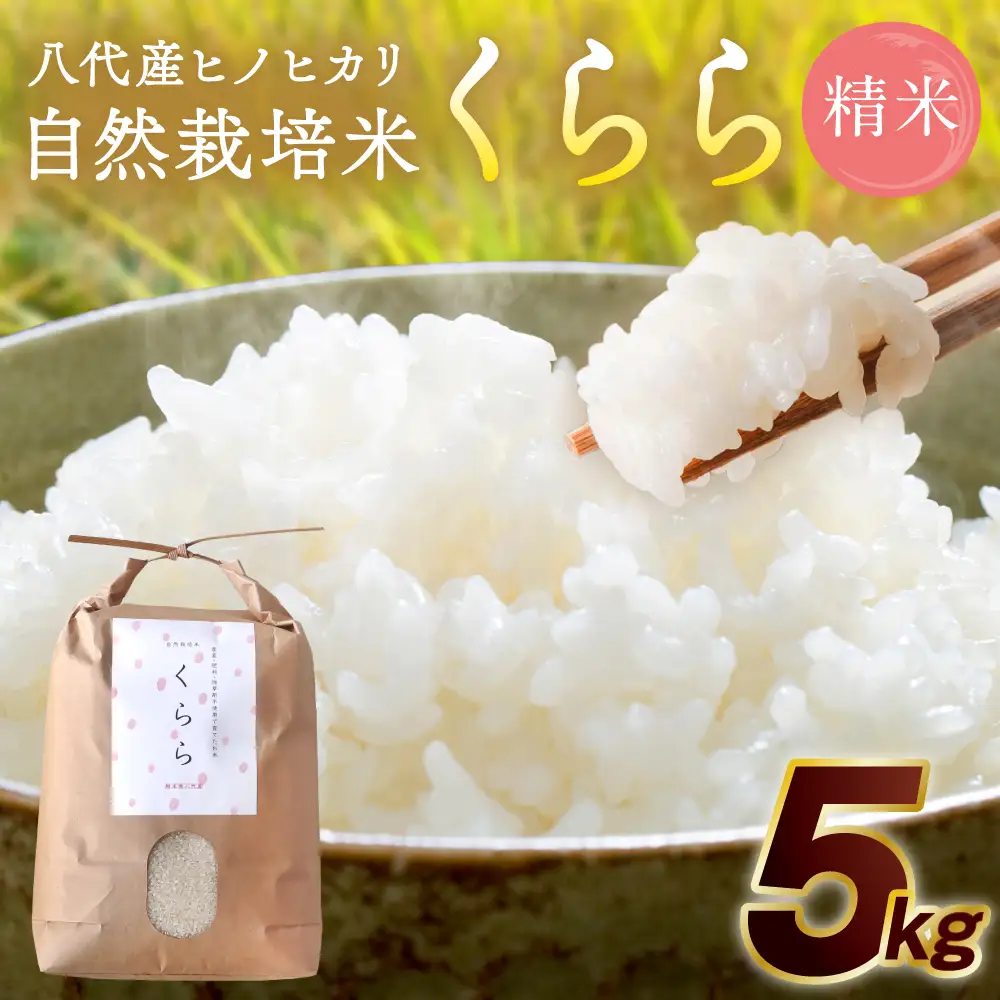 《令和7年産》 自然栽培米 くらら 精米 5kg （八代産ヒノヒカリ）