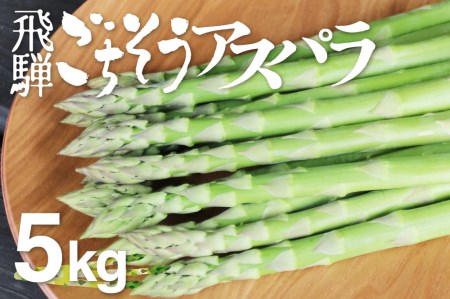 《2026年 先行予約》柔らか甘いアスパラガス アスパラ アスパラガス L~2L 5kg 大容量 [F0035x] 56000円