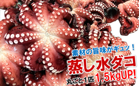 北三陸産 蒸し水ダコ丸ごと1匹 1.5kgUP
