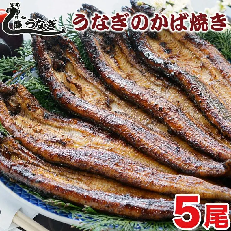 『お食事処 藤うなぎ』かば焼き5尾 国産うなぎ＜15-3a＞