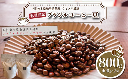 【下関 コーヒー豆 中挽き】ウミノネ珈琲 コーヒー豆800g ブラジル EW