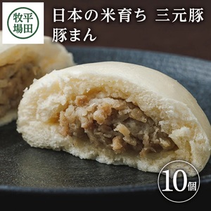 SA1786　【平田牧場】日本の米育ち 三元豚 豚まん　10個