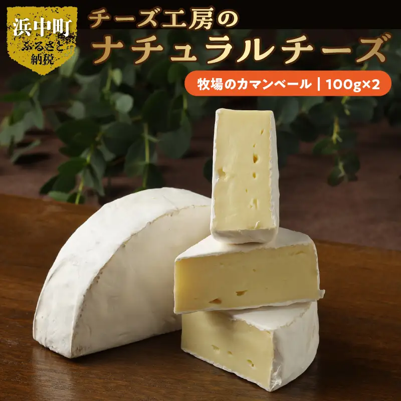 チーズ工房のナチュラルチーズ　牧場のカマンベール100g×2 カマンベールチーズ 国産 ナチュラルチーズ カマンベールタイプ ディップソース ウイスキー 赤ワイン 北海道 浜中町 お取り寄せ 加工品 食品 冷蔵配送 送料無料_H0003-103