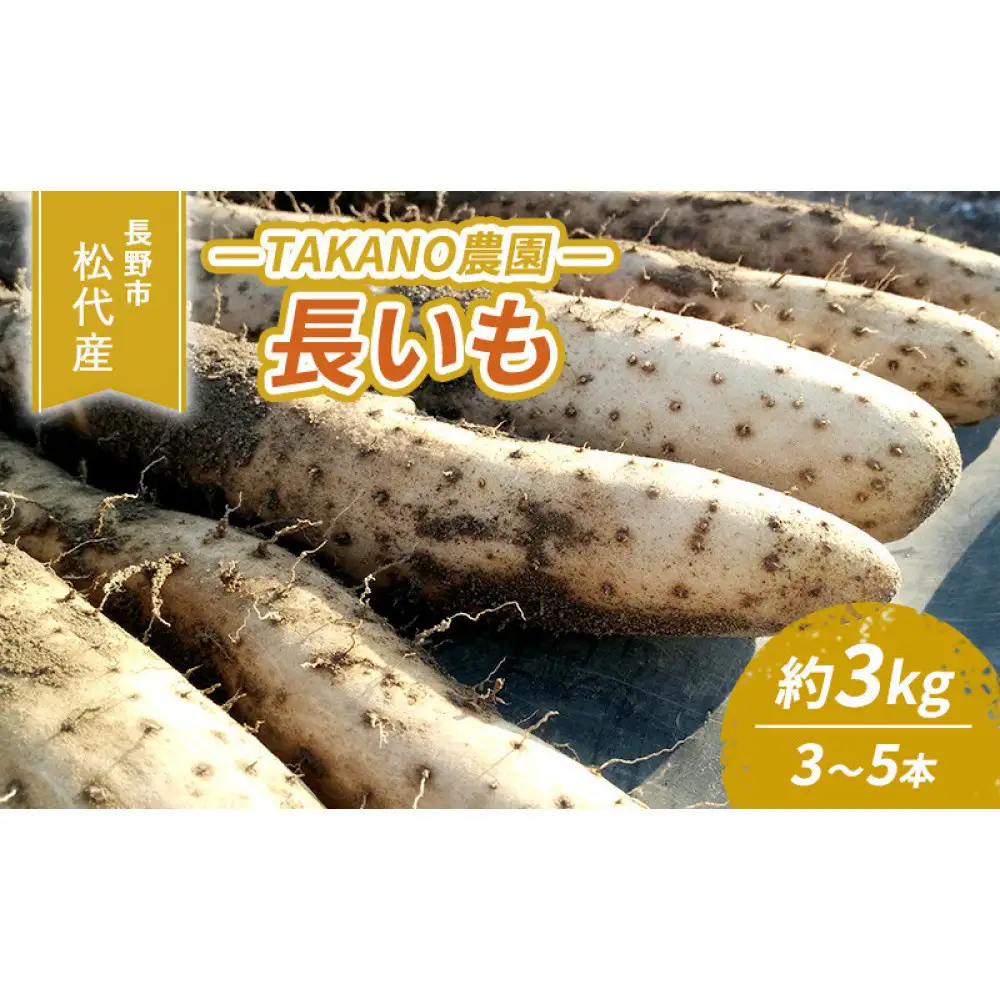 長野市松代産 TAKANO農園　長いも 約3kg(訳あり)【3～5本】 野菜 根菜 長野県産 ネバネバ シャキシャキ とろろご飯 具材 食材 国産 | 長芋 長芋