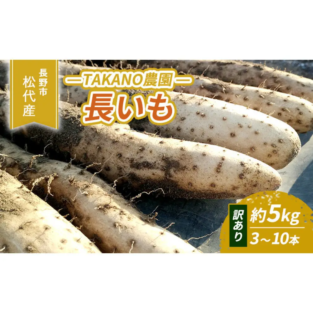 長野市松代産 TAKANO農園　長いも 約5kg（訳あり）【3～10本】 野菜 根菜 長野県産 ネバネバ シャキシャキ とろろご飯 具材 食材 国産 | 長芋 長芋