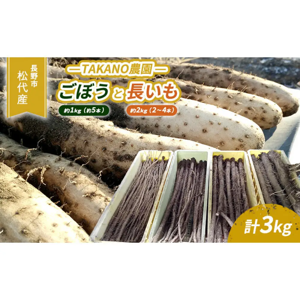 長野市松代産 TAKANO農園　ごぼう（約1kg）【約5本】と長いも（約2kg）【2～4本】計3kg 野菜 根菜 長野県産 ネバネバ シャキシャキ とろろご飯 具材 食材 国産 |長芋 長芋