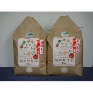 【先行予約】鳥取県産特別栽培米こしひかり ( 10kg )【2026年9月上旬稲刈り後出荷】