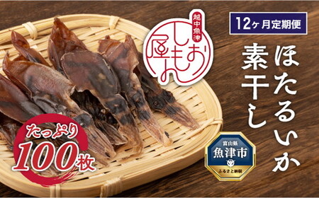 【12か月定期便】ほたるいか 素干し 100枚 ｜ おつまみ 肴 ハマオカ海の幸 定期便 魚貝類 干物 加工品 いかの干物 ホタルイカの干物 お酒のあて 日本酒に合う 晩酌 ※北海道・沖縄・離島への配送不可