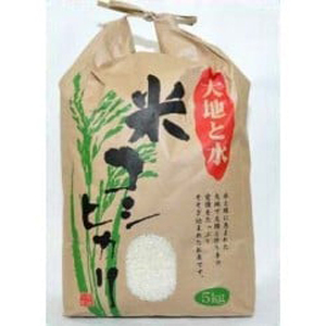 ちばエコ農産物のお米「大地と水」(コシヒカリ) 令和7年産 8kg こしひかり [0516]