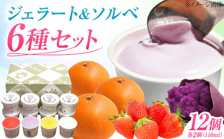 ジェラート&ソルベ 12個 BKAD090