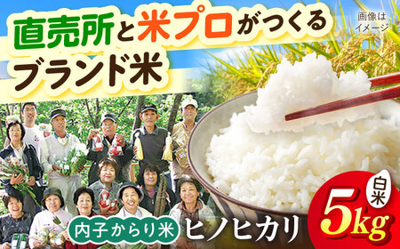 内子からり米 令和7年産ヒノヒカリ 5kg（精米5kg×1袋） BKAD092