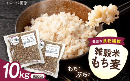 内子町産もち麦10kg BKAD017