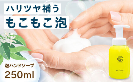 泡ハンドソープ 250ml BKAZ001 ハンドソープ