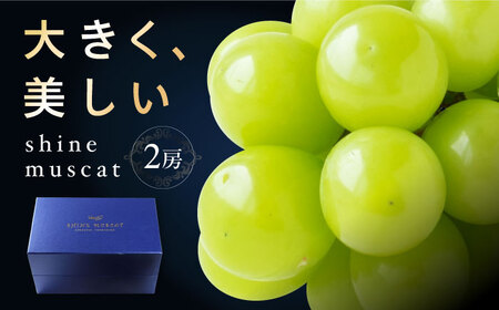 シャインマスカット 2房 bloom leaf シャインマスカット BKBI001