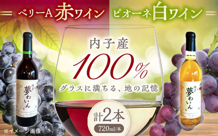赤(ベリーA)+白(ピオーネ) 1本約720ml 各1本 計1440ml BKAG005 ワイン
