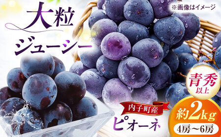 【先行予約】ピオーネ 青秀以上 4-6房 2kg BKAY010