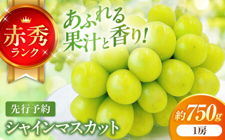 【先行予約】内子町産 シャインマスカット 赤秀 1房入 750g以上 BKAY007