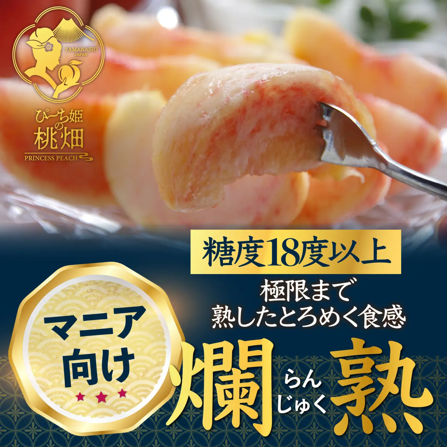 【累計20,000件突破】フルーツ王国山梨が誇る白桃ブランド 爛熟桃 約1.5kg【2026年発送】（PMK）H7-101 【白桃 桃 もも モモ 令和8年発送 期間限定 山梨県産 甲州市 フルーツ 果物】