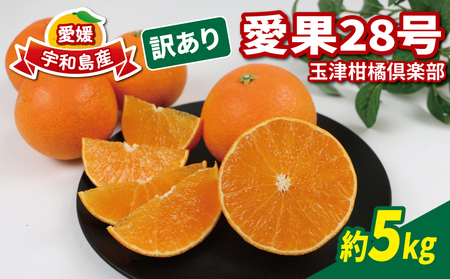 【12月上旬～12月中旬発送予定】 訳あり 愛果28号 5kg 家庭用 玉津柑橘倶楽部 あいか B015-072026
