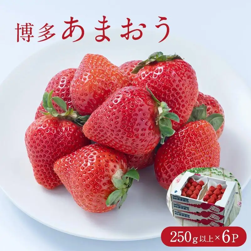 フルーツソムリエが選んだ 福岡県産春あまおう6パック※一部離島不可【1パックあたり250g】