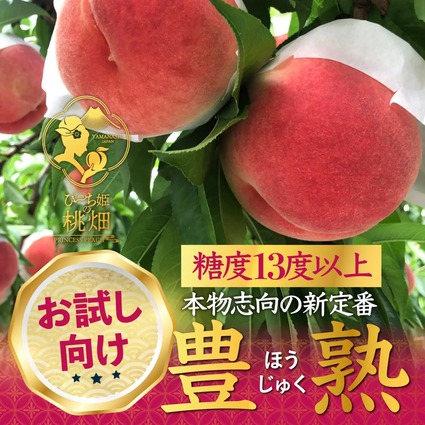 【累計20,000件突破】フルーツ王国山梨が誇る白桃ブランド 豊熟桃 約1kg【2026年発送】（PMK）B18-101  【白桃 桃 もも モモ 令和8年発送 期間限定 山梨県産 甲州市 フルーツ 果物】