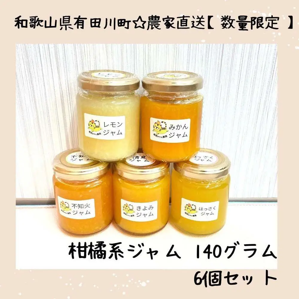 ［2026年3月以降順次発送］農家直送！数量限定！みかんの産地から届く 店主にお任せ 無添加 柑橘ジャム140g×6個