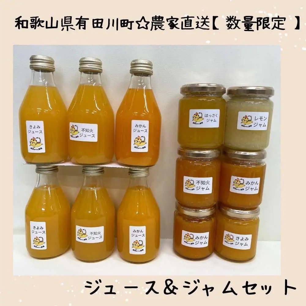 ［2026年3月以降順次発送］数量限定！有田みかんに産地から届く 店主にお任せ 農家直送の無添加の柑橘ジュース＆ジャムセット