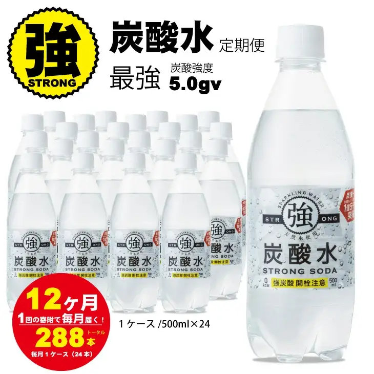 【定期便】（12ヶ月連続お届け）強炭酸水（500ml）1ケース（24本入り）×12回 炭酸 飲料 Q072-002