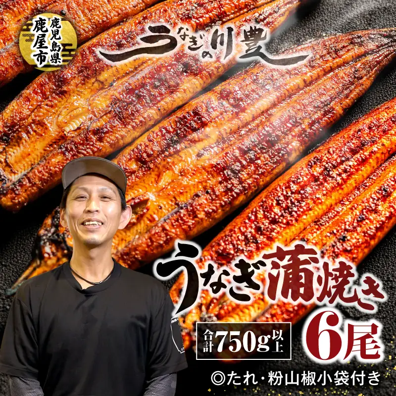 【 土用の丑の日特集 】 947-3 昭和56年創業 うなぎの川豊 うなぎ蒲焼6尾 KN049-001-06 魚 冷凍 鰻