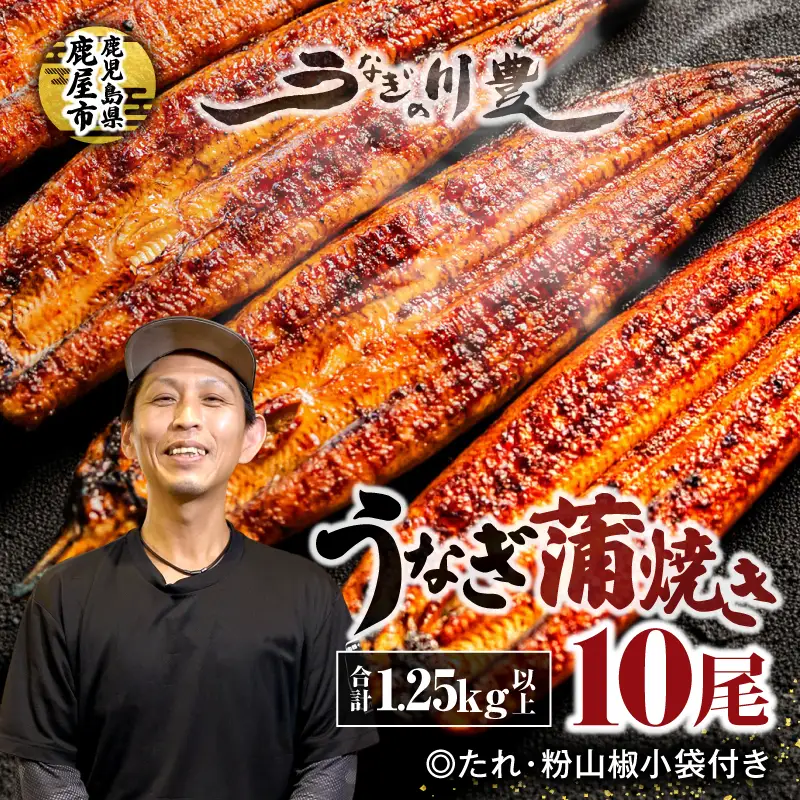【 土用の丑の日特集 】 949-3 昭和56年創業 うなぎの川豊 うなぎ蒲焼10尾 KN049-001-10 魚 冷凍 鰻