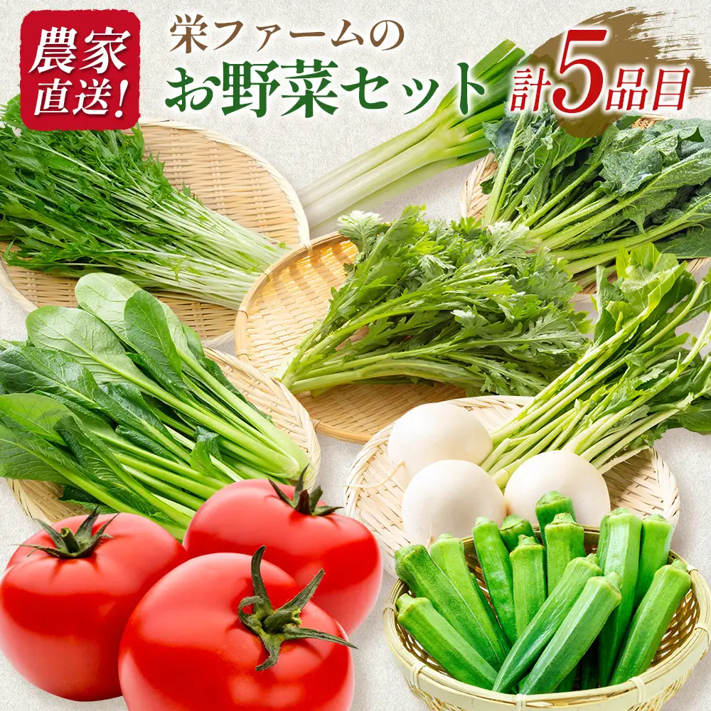 農家直送！栄ファームのお野菜セット SA091_006