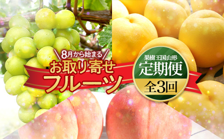《先行予約 2026年8月上旬発送開始 定期便》8月から始まる お取り寄せフルーツ（白桃 黄桃 シャインマスカット） もも モモ 桃 デザート フルーツ 果物 くだもの 果実 食品 山形県 FSY-2465