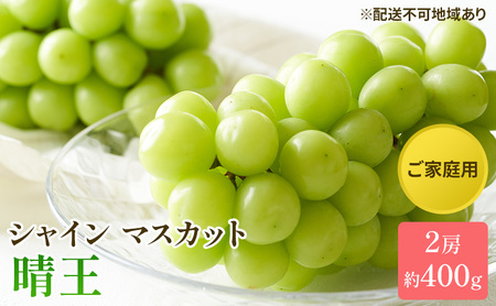 ぶどう 2026年 先行予約 ご家庭用 シャイン マスカット 晴王 約400g×2房 ブドウ 葡萄  岡山県産 国産 フルーツ 果物 太陽 美しい 外観 大粒 高糖度 種なし 皮ごと 弾力 食感 美味しい 