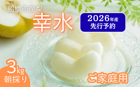 【2026年産先行予約】＜家庭用＞果汁たっぷりの極上梨「幸水・3kg」6～9玉 千葉県 船橋市産