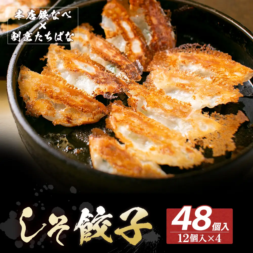Z02-13 寄附額改定↓↓ 本店鉄なべ×割烹たちばな しそ餃子48個  餃子