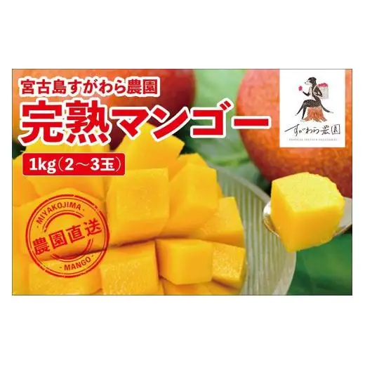 宮古島すがわら農園　完熟マンゴー1kg（2～3玉）（FR006）
